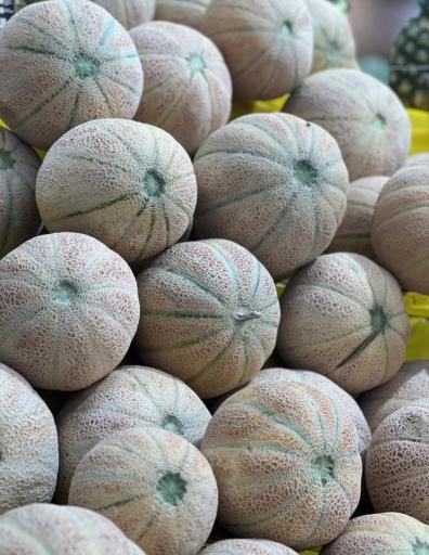 عکس آقای ارزونی
