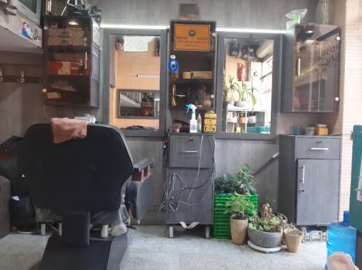 عکس پیرایش شباهنگ