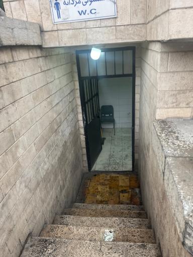 سرویس بهداشتی