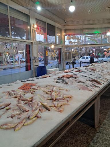 عکس شهر پروتئین