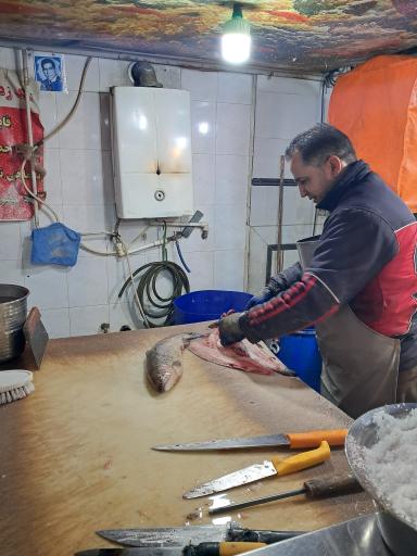 عکس شهر پروتئین