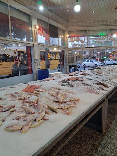 عکس شهر پروتئین