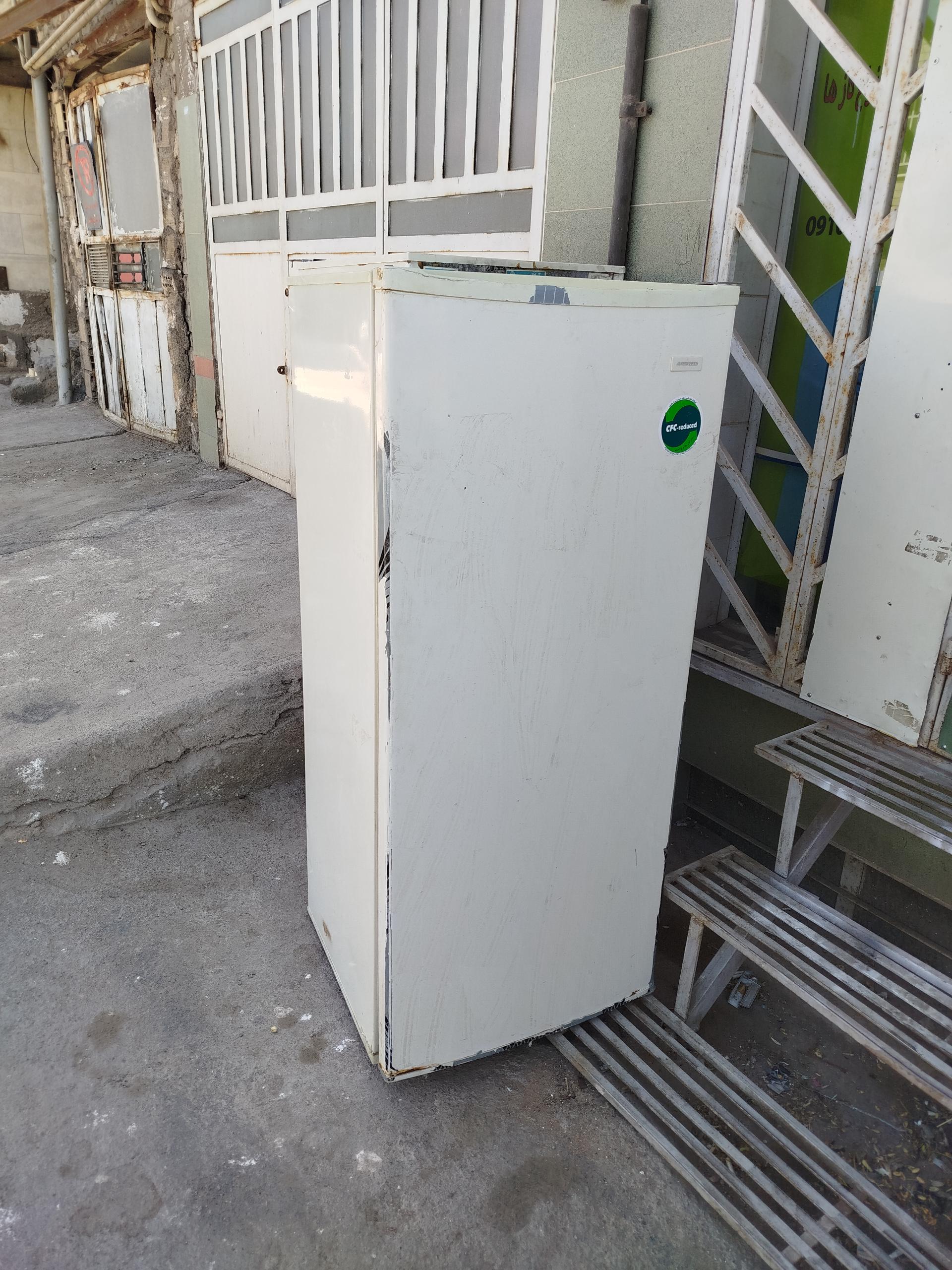 عکس یخچالسازی پودینه