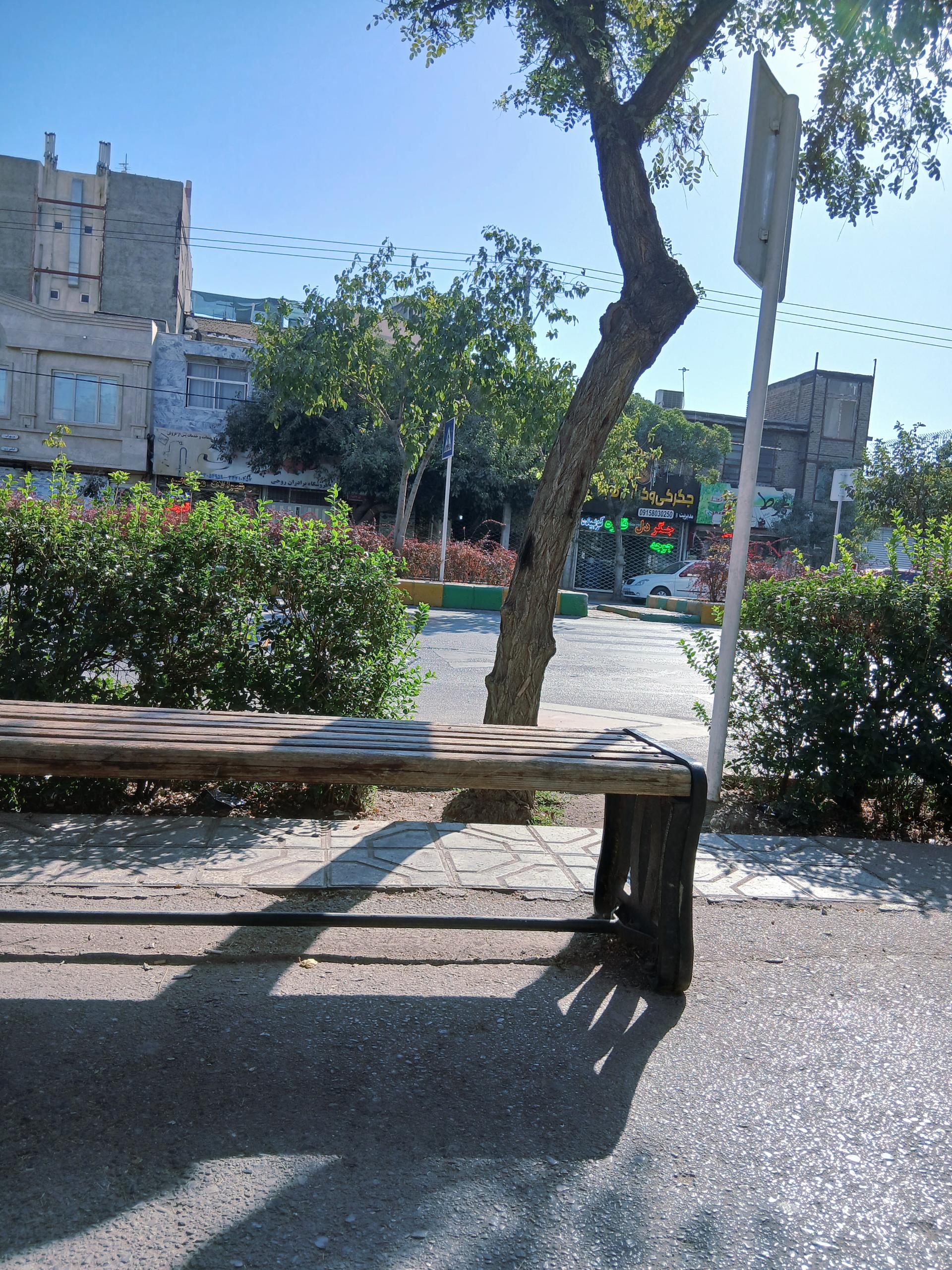 عکس  شهید صدر 23