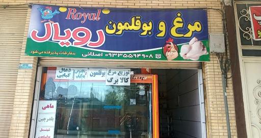 عکس مرغ و بوقلمون رویال