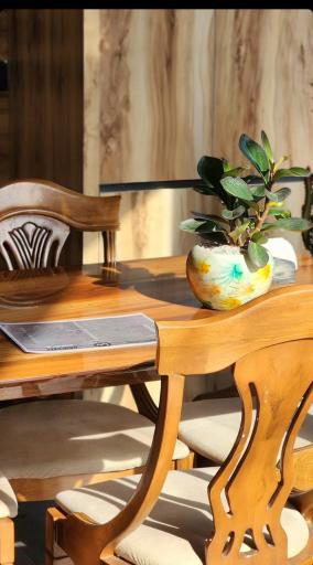 عکس قهوه بایا