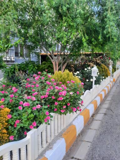 عکس مجتمع پرشین