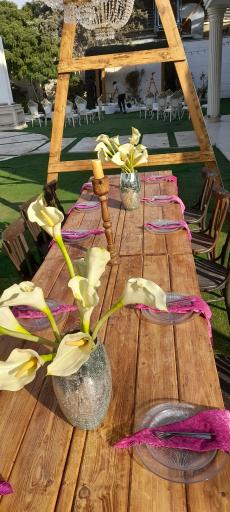 عکس باغ عمارت لیان