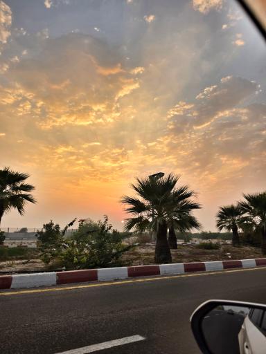 عکس کیش