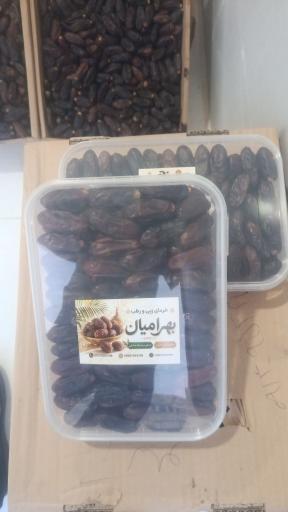 عکس پخش خرمای بهرامیان