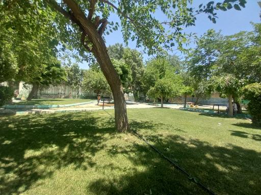 عکس پارک شاهد