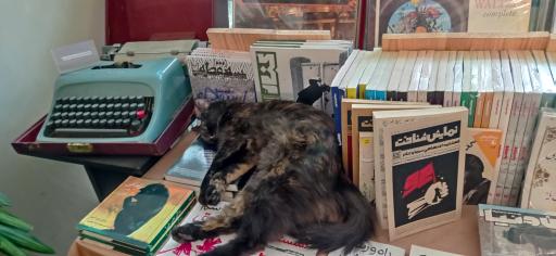 عکس خانه موزه چمن آرا (بتهوون)