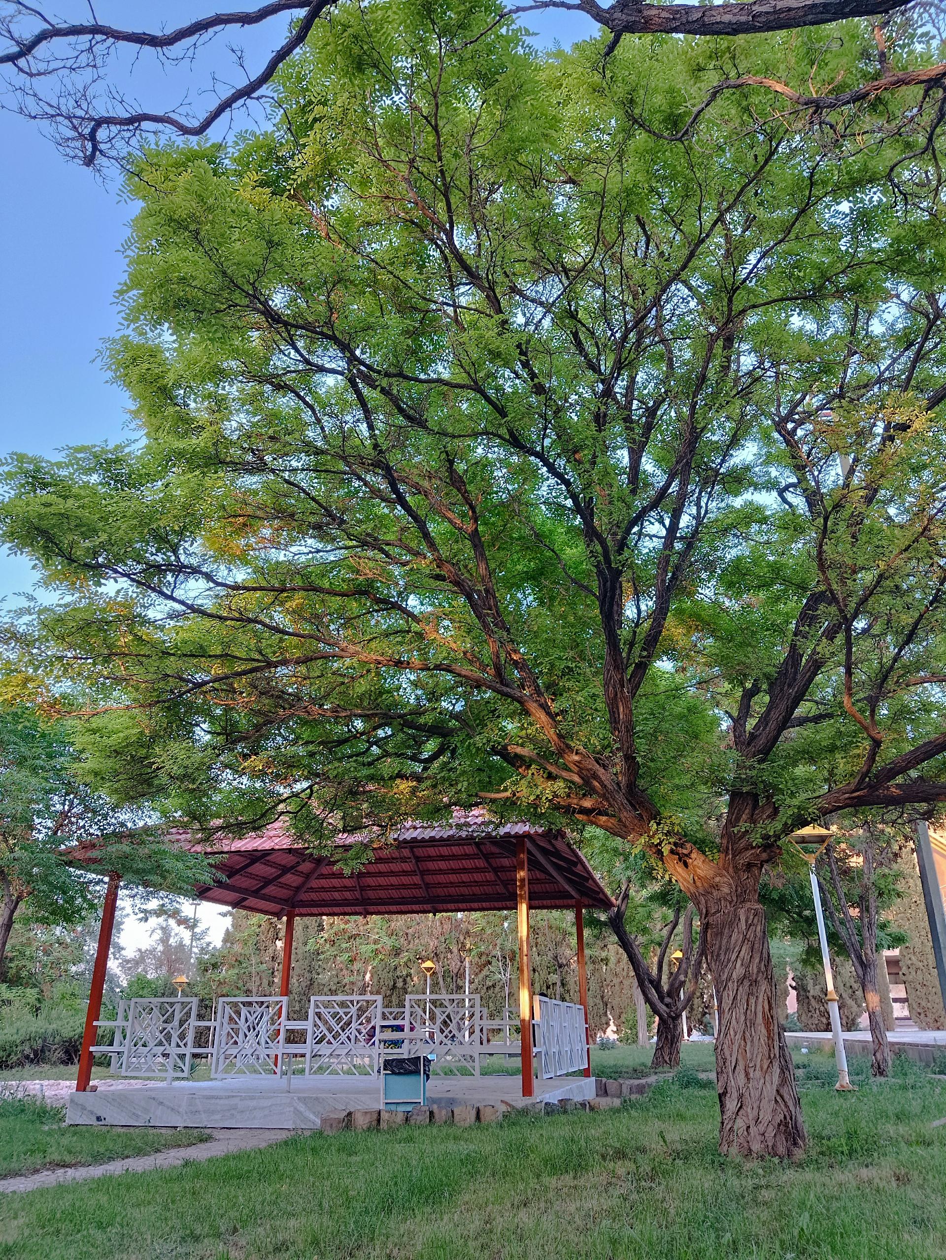 عکس خوابگاه صدف دانشگاه بیرجند 