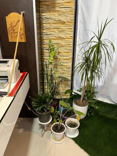 عکس فروشگاه قطعات بردیا