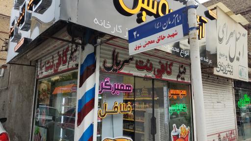 عکس آرتین پروتئین 