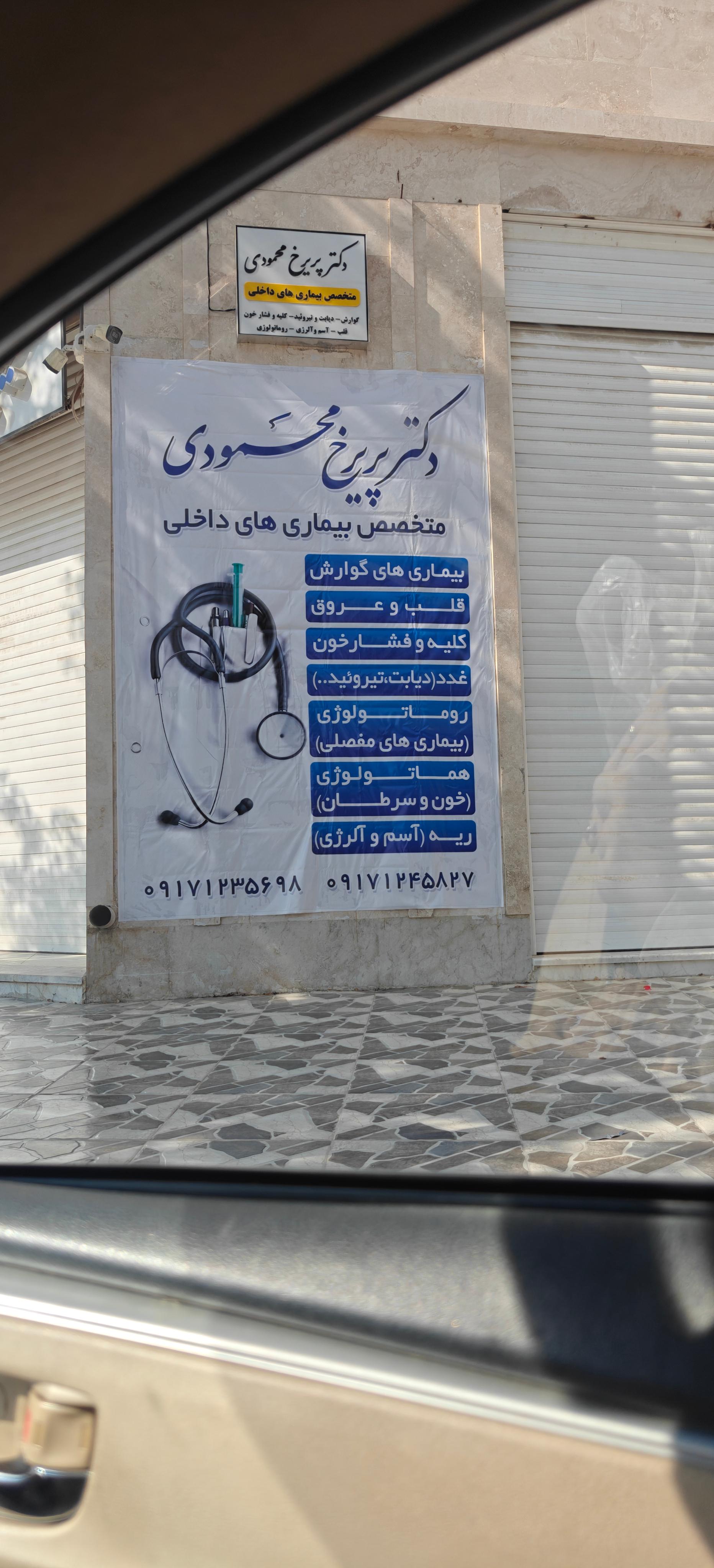 عکس دکتر پریرخ محمودی 