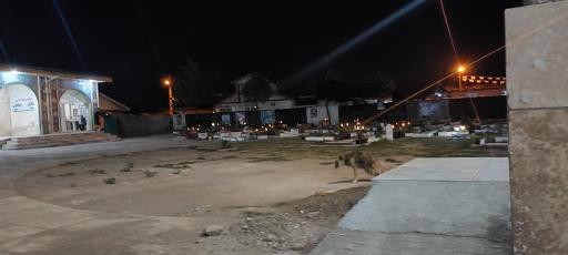 عکس آرامستان  بی بی حوریه (س)