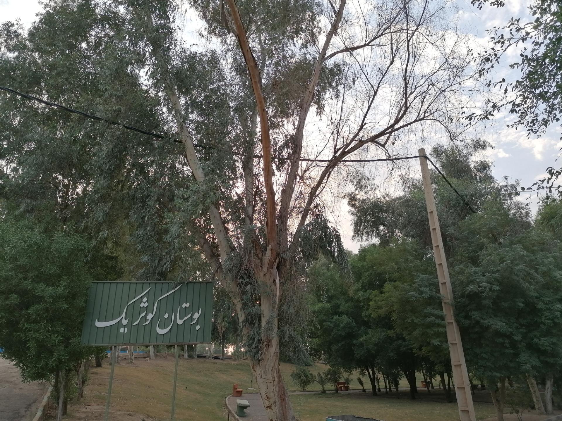 عکس بوستان کوثر 1