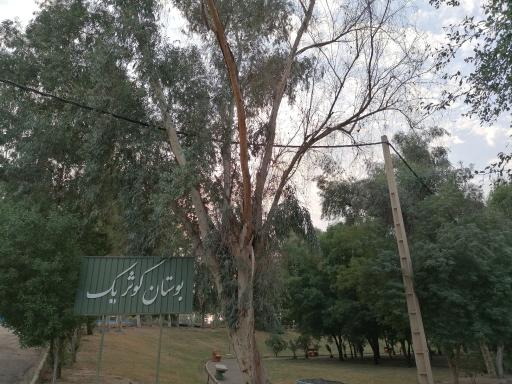 عکس بوستان کوثر 1