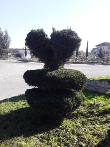 عکس شهرک صنعتی جویبار