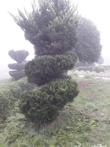 عکس شهرک صنعتی جویبار