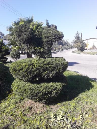 عکس شهرک صنعتی جویبار