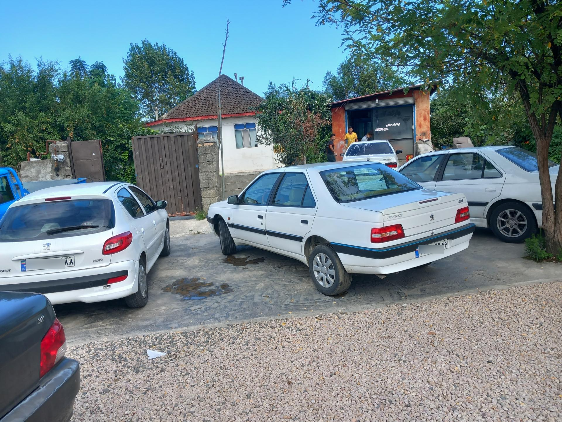 عکس کارواش اسپورت برادران حسنی