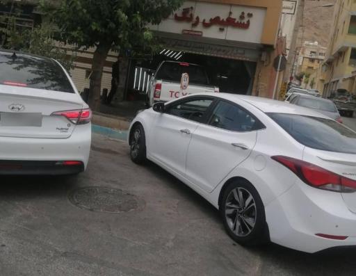 عکس تشخیص رنگ گلزار