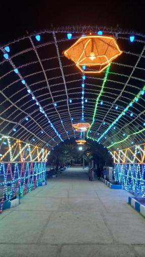 عکس پارک نخلستان 