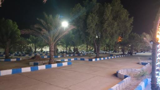 عکس پارک نخلستان 