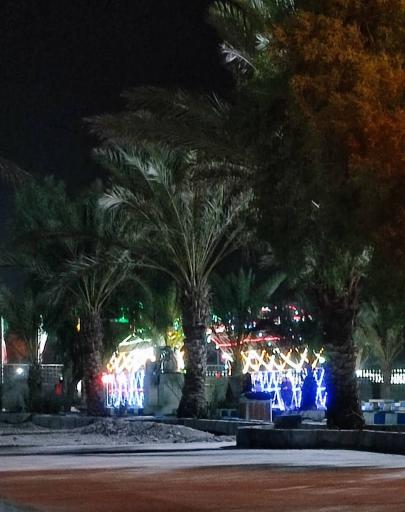 عکس پارک نخلستان 