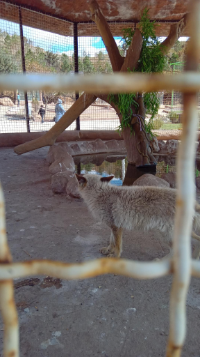 عکس پارک حیات وحش و منطقه حفاظت شده عینالی 