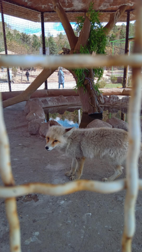 عکس پارک حیات وحش و منطقه حفاظت شده عینالی 