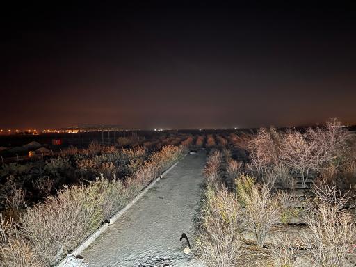 عکس مزرعه امین