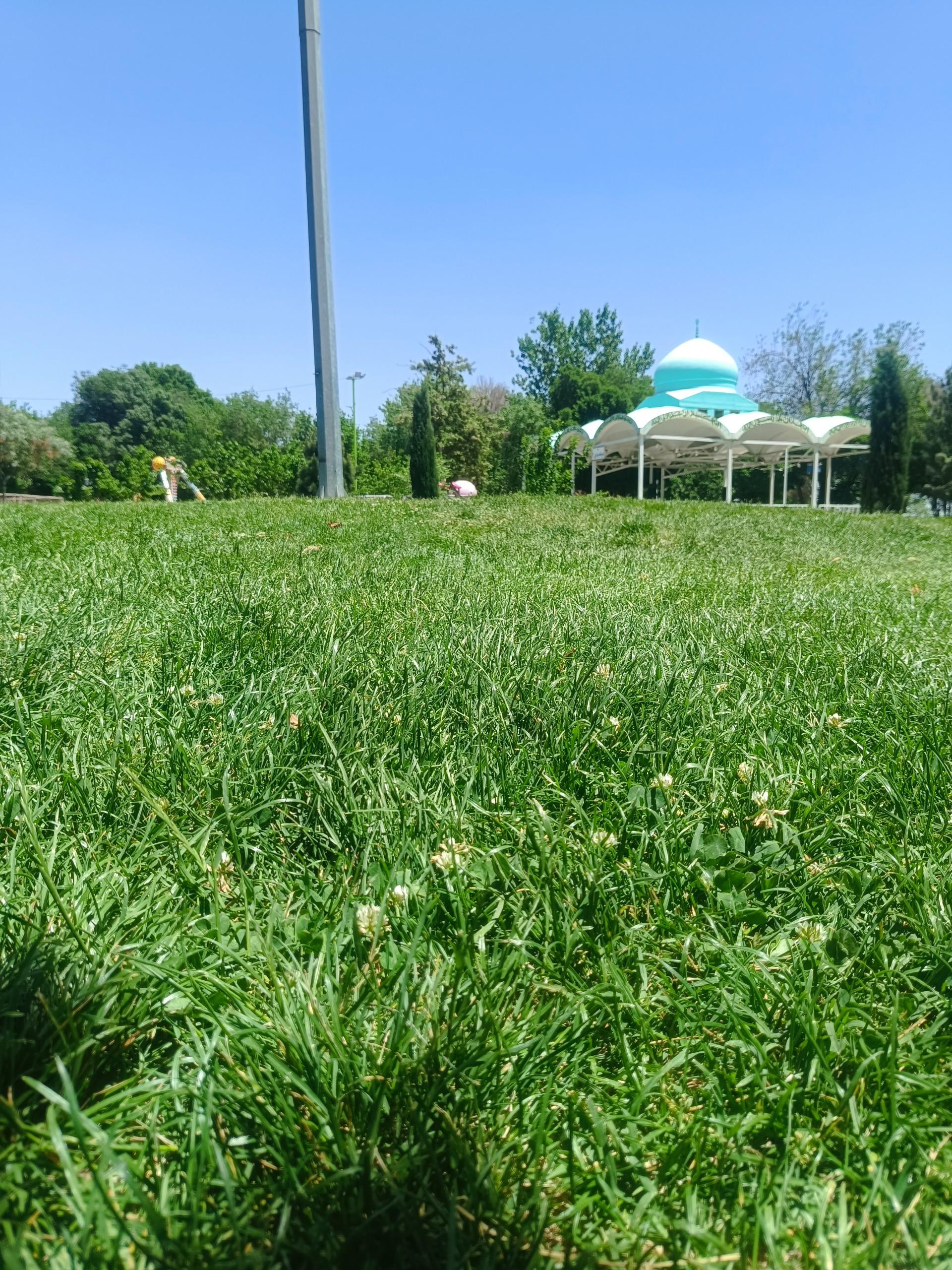 عکس مسجد
