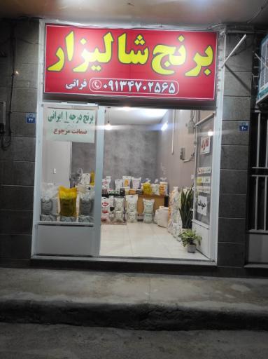 عکس برنج شالیزار فراتی