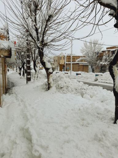 عکس رزوه