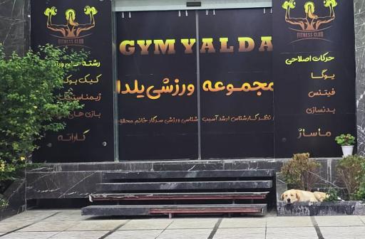 عکس مجموعه ورزشی یلدا 
