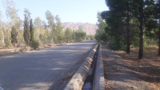 عکس پارک جنگلی دکتر کردوانی