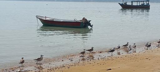 عکس ساحل بازار ماهی فروشان شهر کنارک