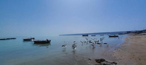 عکس ساحل بازار ماهی فروشان شهر کنارک