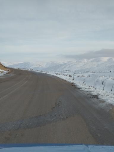 عکس گلوگاه