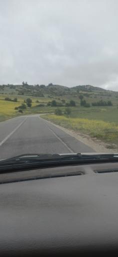 عکس گلوگاه