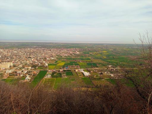 عکس گلوگاه