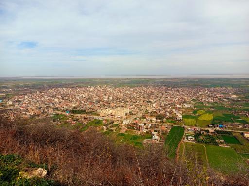عکس گلوگاه