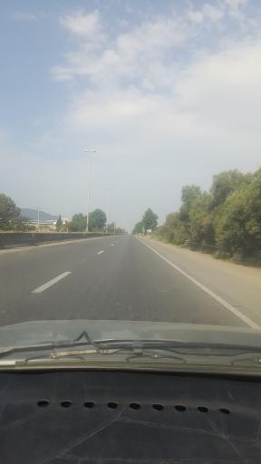 عکس گلوگاه
