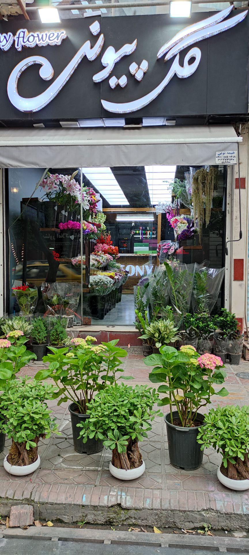 عکس گل پیونی