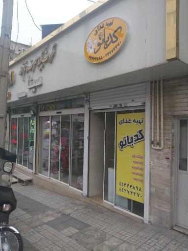 عکس تهيه غذا کدبانو 