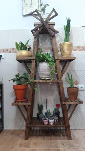 عکس گالری چوب پارسا