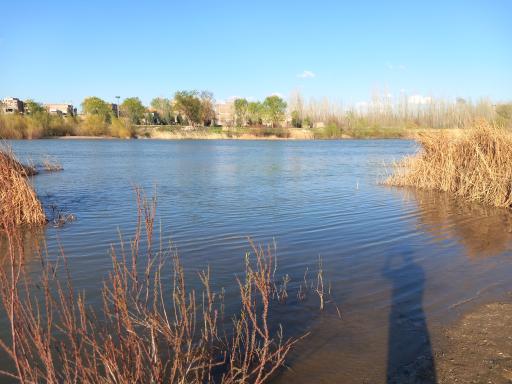 عکس میاندوآب